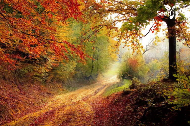 How to Transform Your Life by the Faith