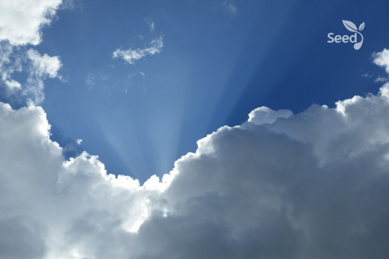 You Can Believe Jesus to Rapture You