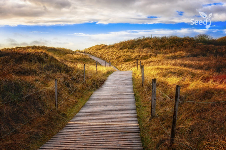 Help Me to Enter Strait Gate Unto Life Through the Narrow Way