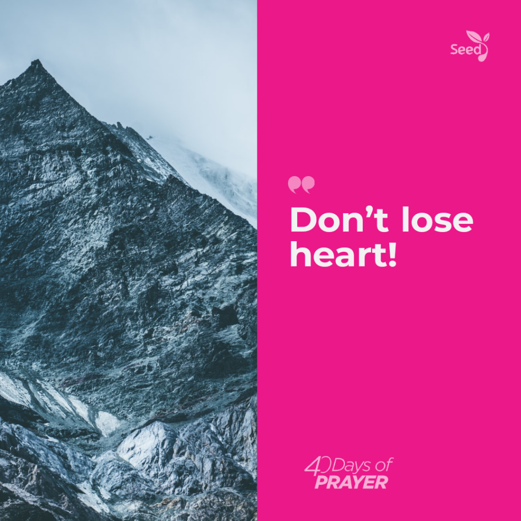 Don't lose heart!