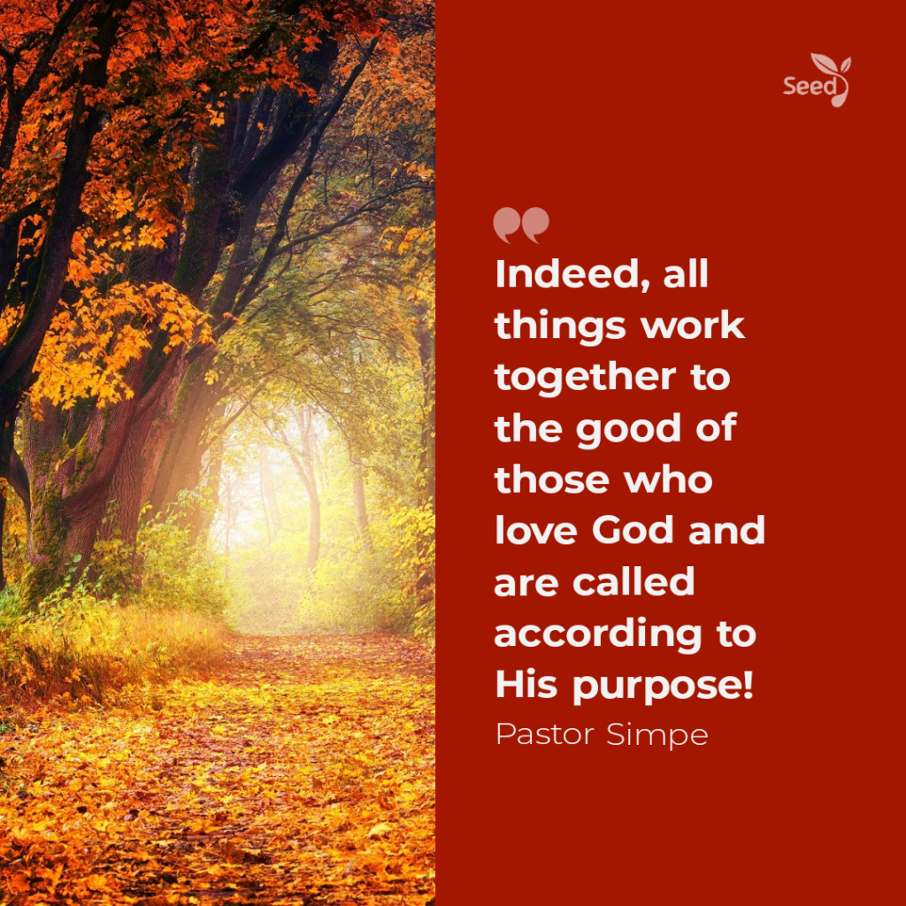 Indeed, all things work together to the good of those who love God and are called according to His purpose.