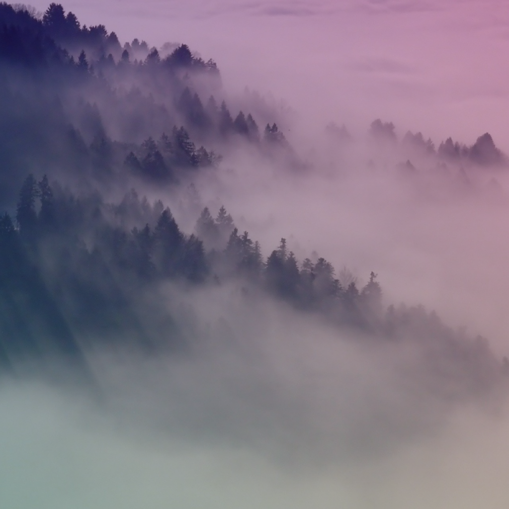 We all Need the Restored Glory