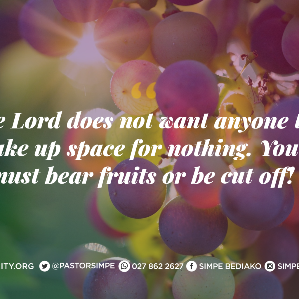 You are Called to Bear Fruits! - Seed for Today Daily Devotional