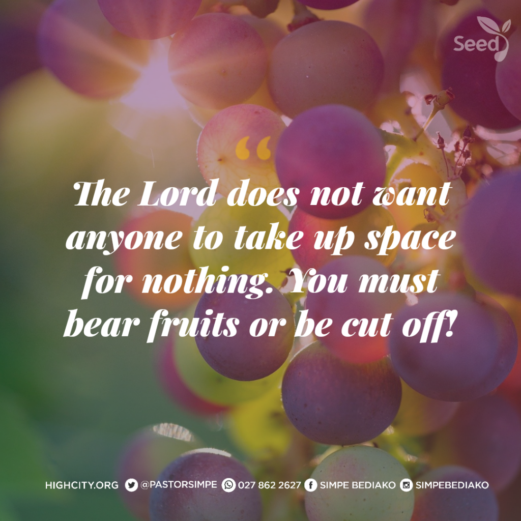 The Lord does not want anyone to take up space for nothing. You must bear fruits or be cut off!