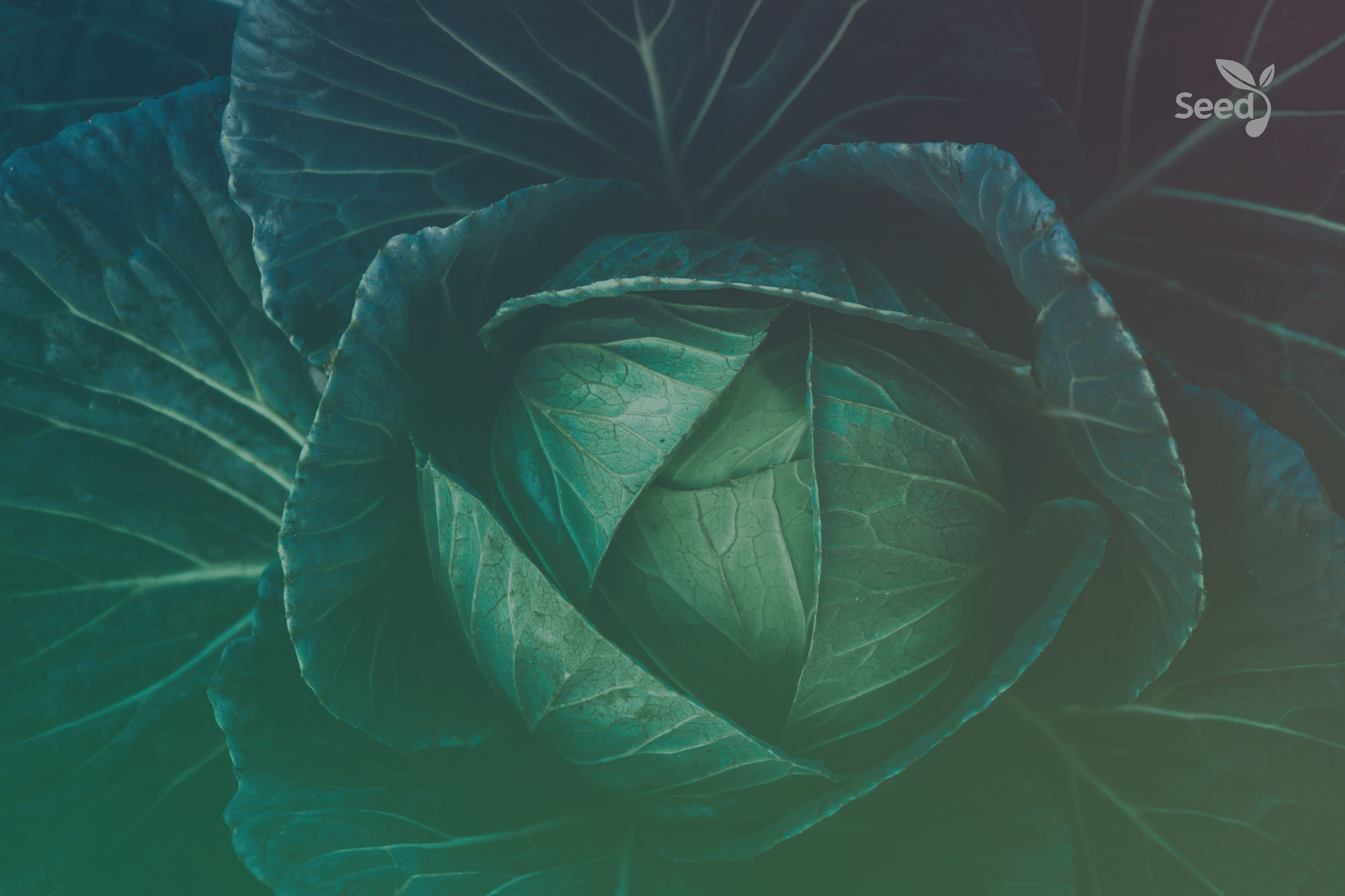 7 Things you must be careful about to improve your health