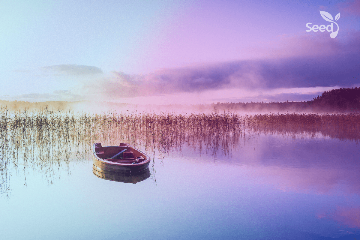 Adobe Express 20230613 0654150 1 1 Finding peace in a troubled world