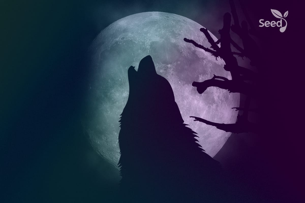 Its time to Ravin as a wolf 1 It’s time to ravin as a wolf