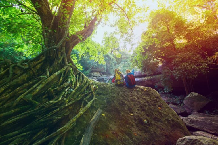 Destroy the roots of evil