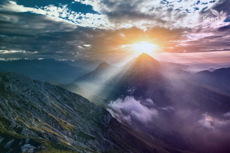 7 Sacrifices you must offer for swift breakthrough