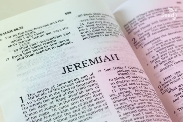 Despise Not Prophesyings