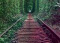 Align salvation and purpose