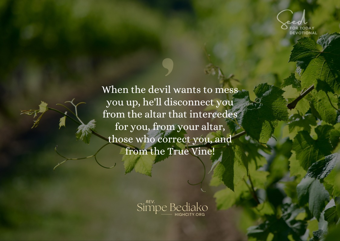 When the devil wants to mess you up, he'll disconnect you from the altar, the praying priest, those who correct you, and the true vine.