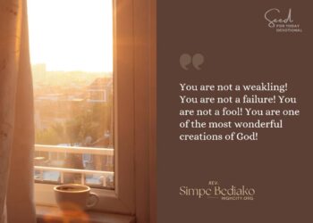 You can have dominion over the works of the hand of God!