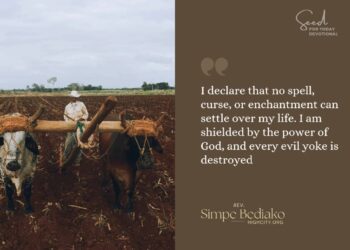 Day 1 – No Enchantment Shall Stand