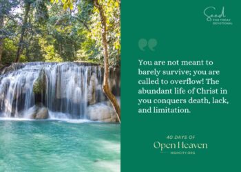 I Must Abound with Life