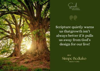 How to grow wisely without burning out