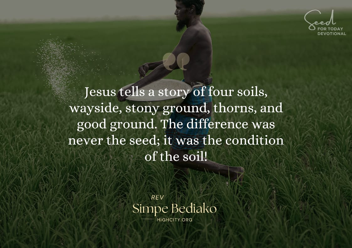 Parable of the sower 1 Parable of the sower