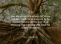 Speak Against Demonic Altars