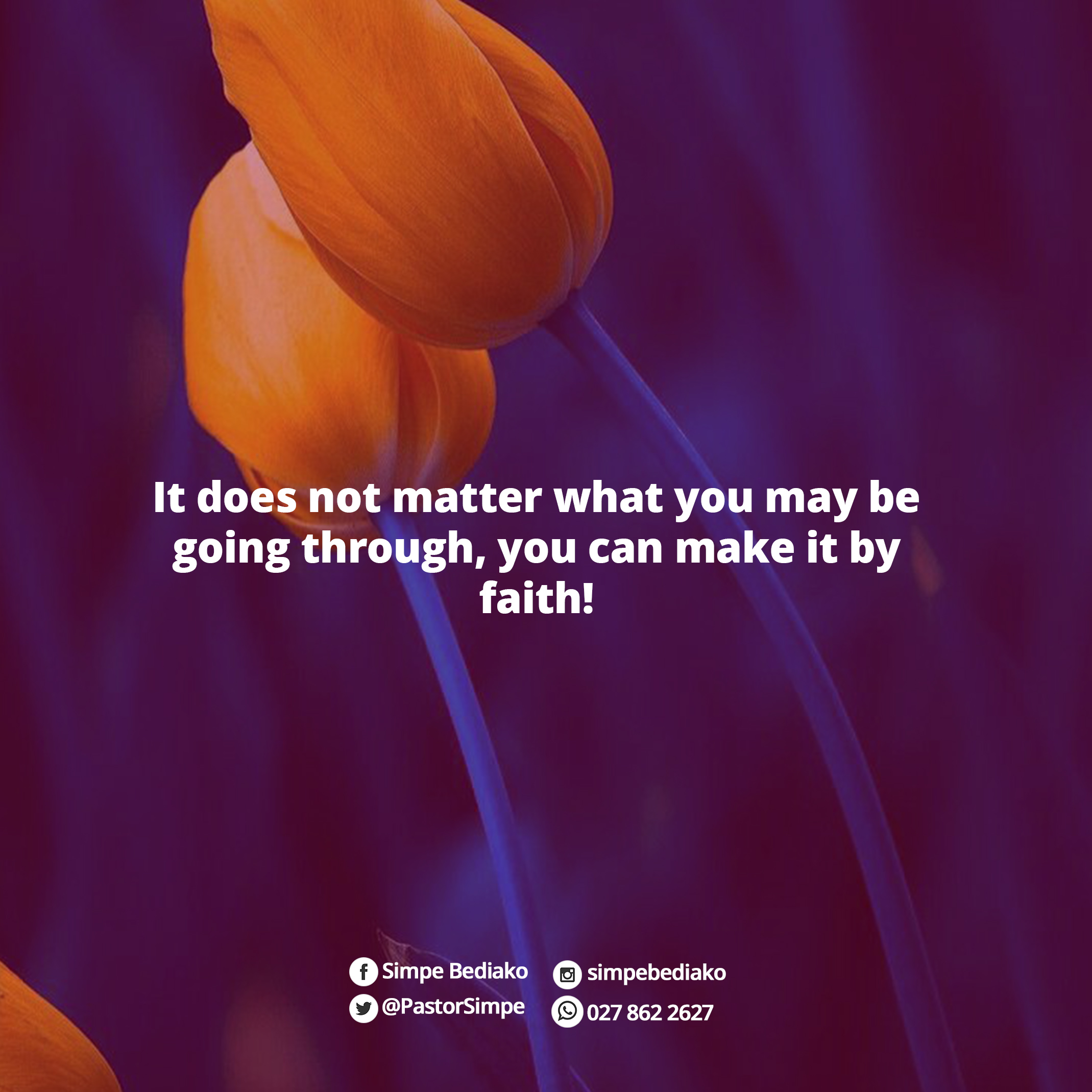 5 Things You Can Do to Harvest Miracles 5 Things You Can Do to Harvest Miracles