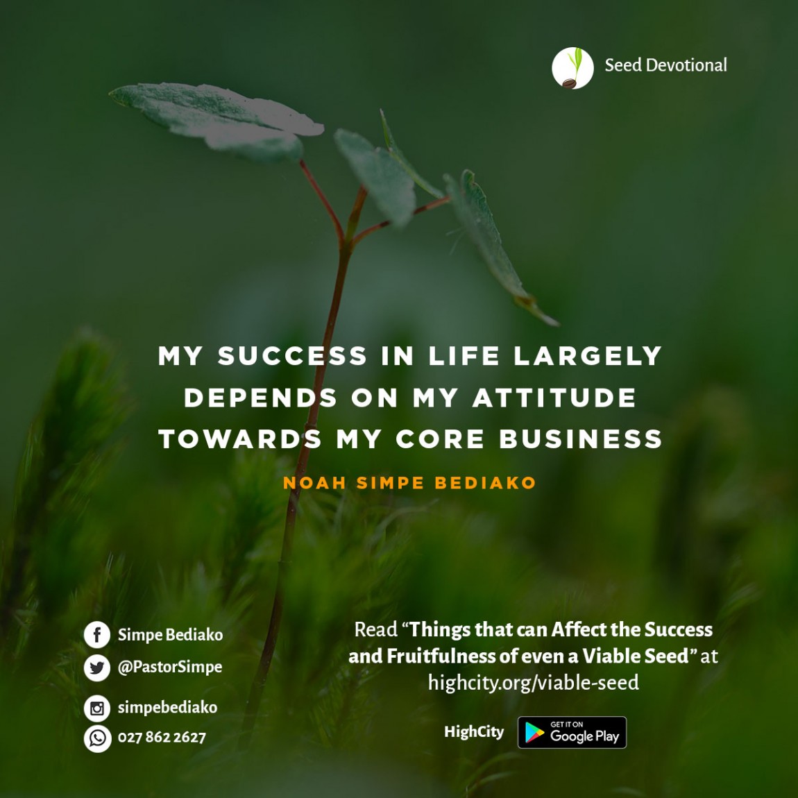 5 Things that can Affect the Success and Fruitfulness of even a Viable Seed