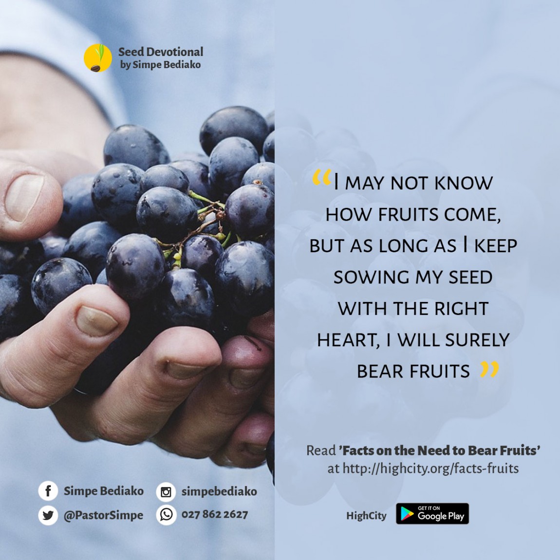 Facts on the Need to Bear Fruits