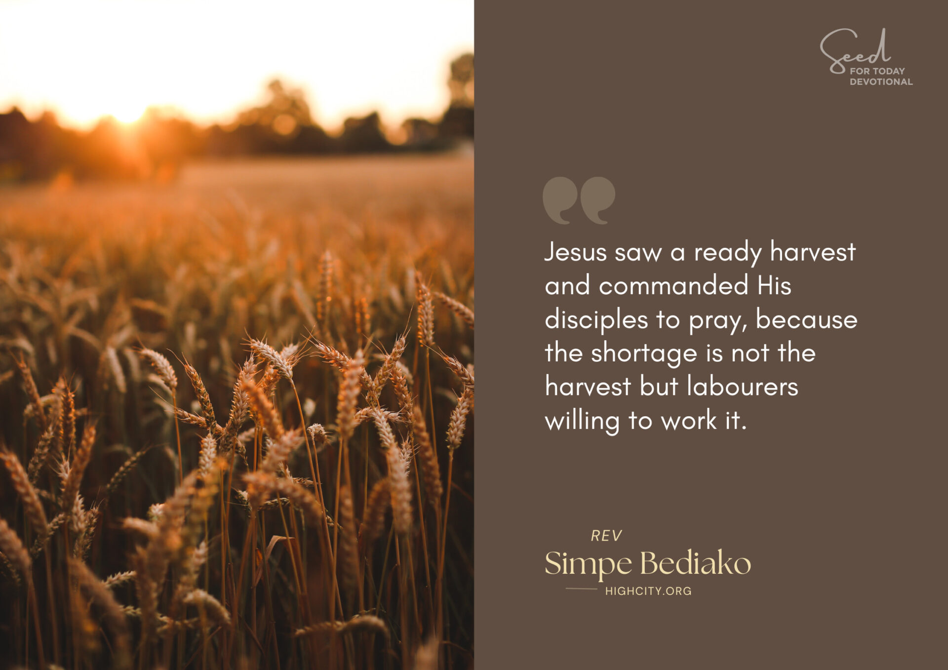 Pray that God Will Send Labourers into the Vineyard