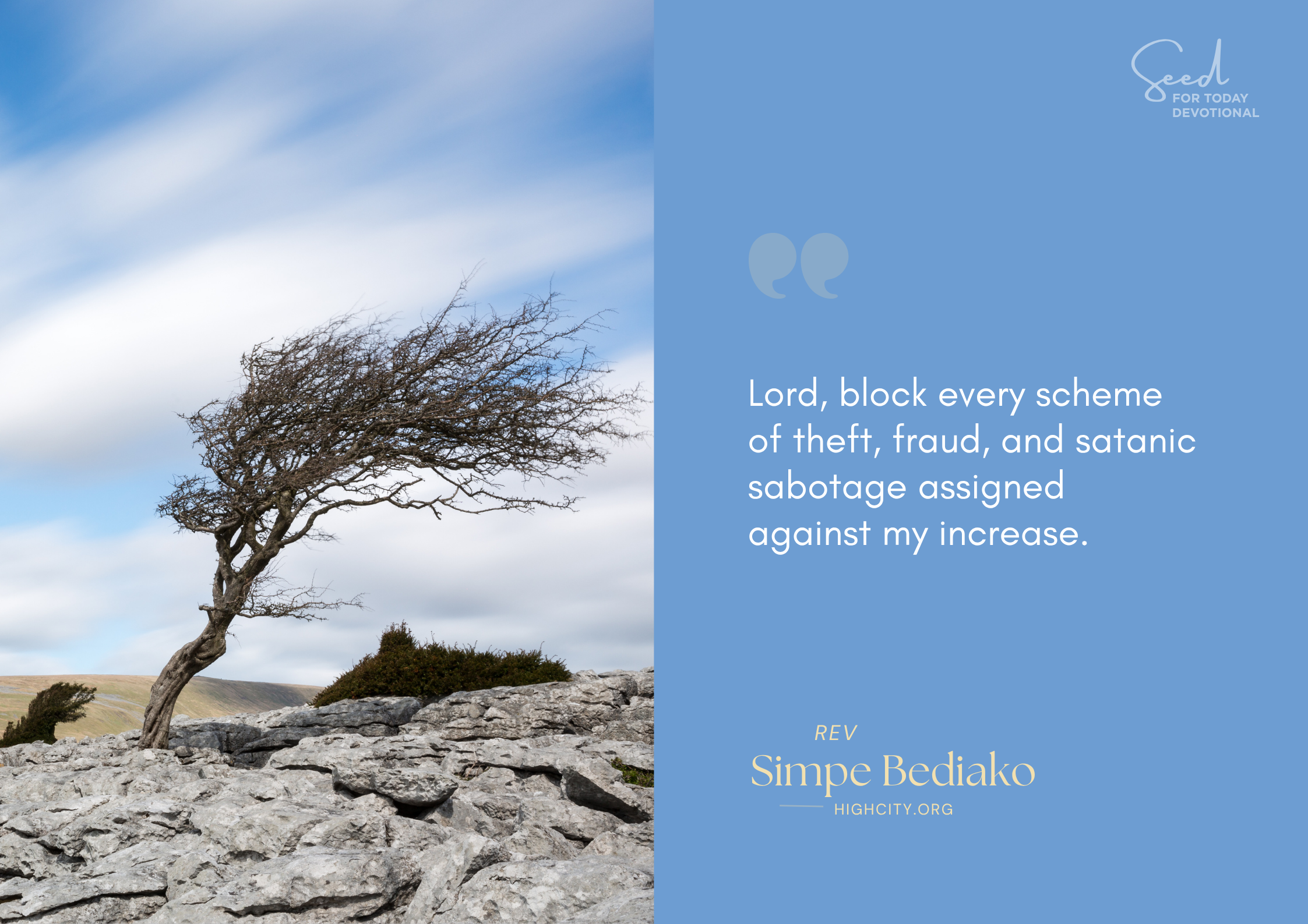 Pray that God Will Set a Hedge of Protection around Your Business and Finances - HighCity Church Pray that God Will Set a Hedge of Protection aroun Pray that God Will Set a Hedge of Protection around Your Business and Finances