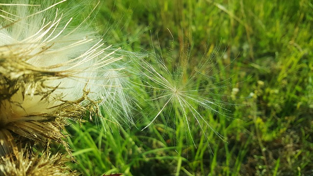 Break up Your Fallow Ground!